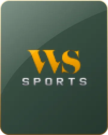 wssport-game-provider-icon